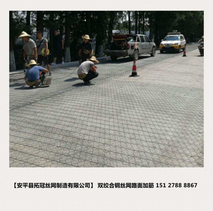 鎮(zhèn)海公路路面加筋網(wǎng)_conew1.jpg