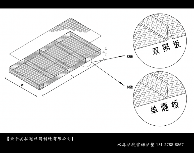 雙隔板雷諾護(hù)墊03_conew7.png