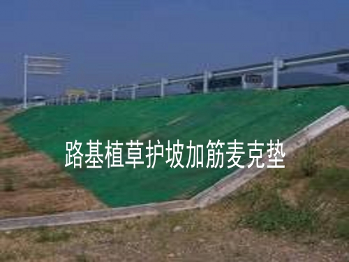 路基邊坡固土網(wǎng)墊植草護(hù)坡