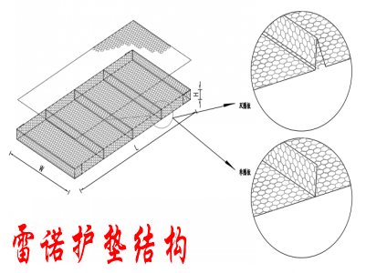 雙隔板雷諾護墊