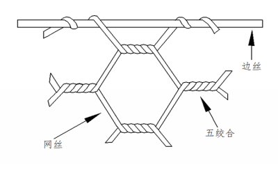 五絞合的雙絞格網