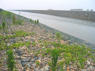 河堤護坡格賓網墊