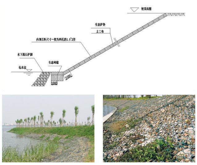 河道護坡生態(tài)護墊、生態(tài)網箱