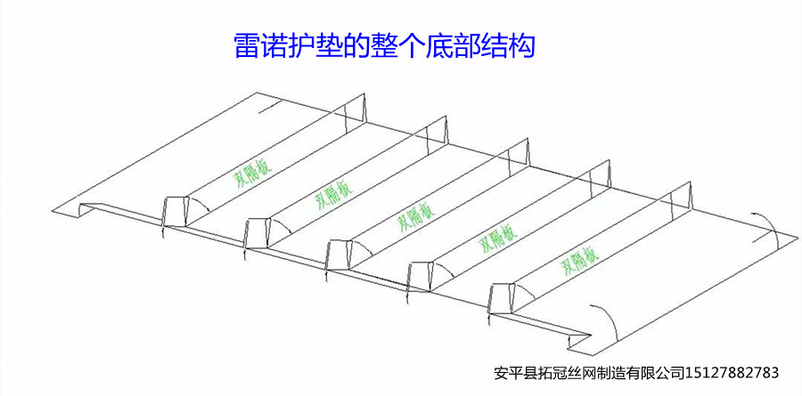 雙隔板雷諾護墊